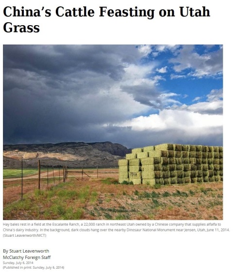 Utah Grass