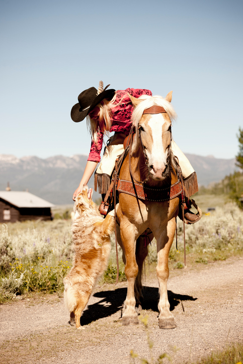Four Animals Any Rancher Should Have