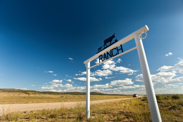 5 Reasons to Choose Ranching on New Mexico Land.jpg