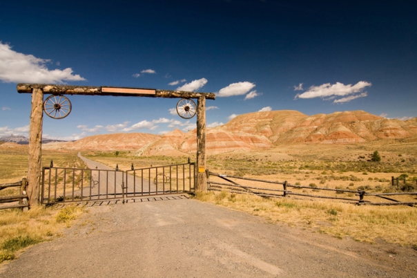 Planning Your Next Vacation Get a Taste of Cattle Ranches in Utah.jpg
