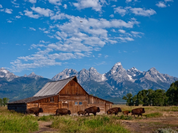 Four Different Reasons to Buy Wyoming Ranches