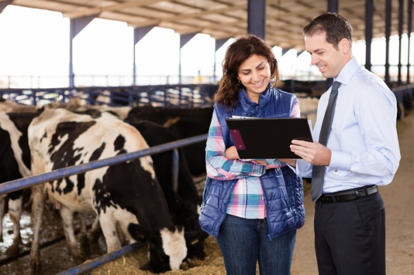 A Brief Introduction to the Role of a Ranch Management Company