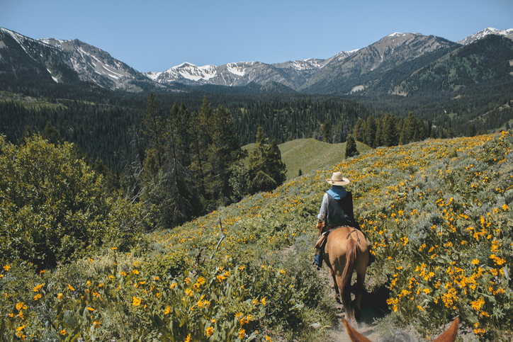 2 Key Considerations When Searching for Ranches for Sale in Wyoming