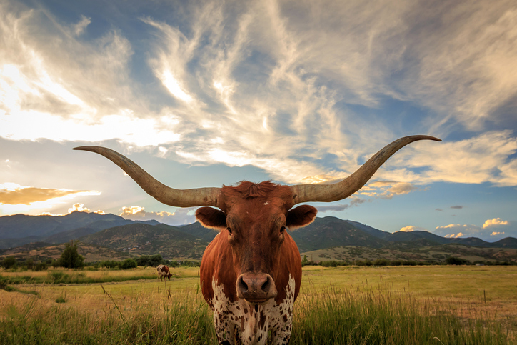 4 Things to Consider Before You Buy Utah Ranches
